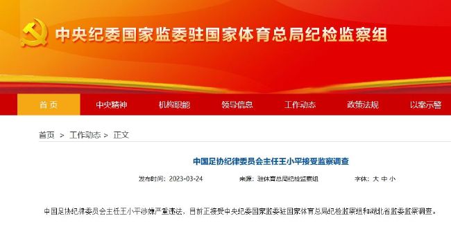 国产精品国偷自产在线