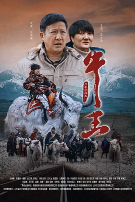 国产精品久久久久国产精品