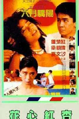 亚洲激情视频网