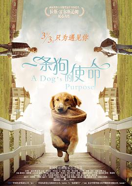 国产成人永久免费视频
