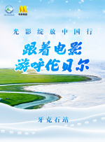 亚洲视频在线观看免费