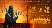 白丝女同
