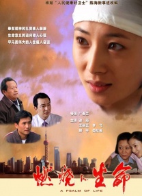 99国产精品欧美久久久久久影院