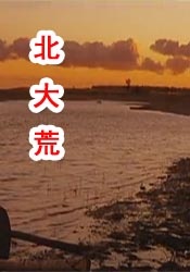 99自拍视频