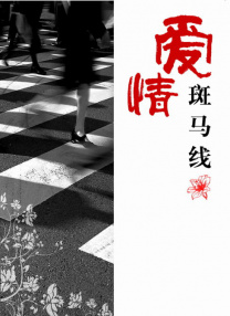 视频小说 一区二区