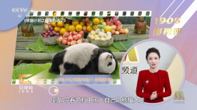 充满了泡沫的浴室